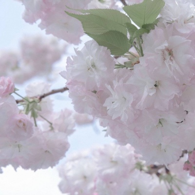 霍林郭勒福瑞交流群